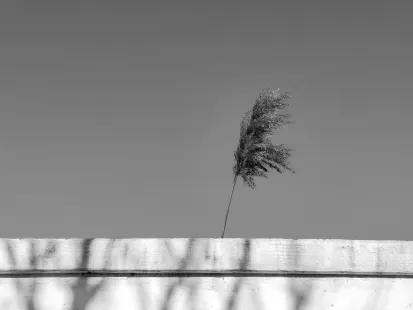 King Kaszinó Mobilalkalmazás